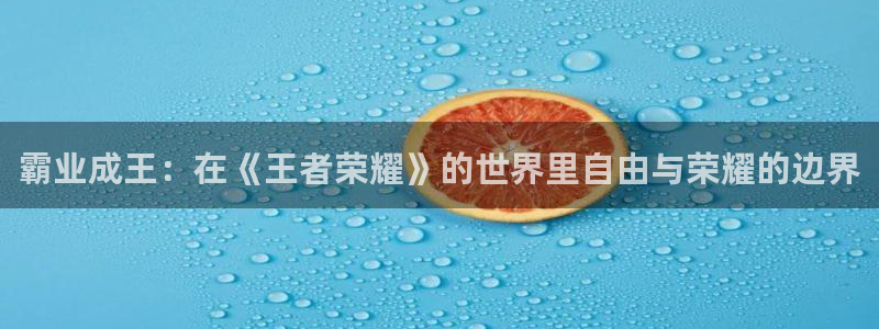 杏鑫代理注册资金多少
