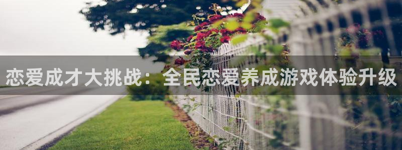 杏鑫平台官方网站地址