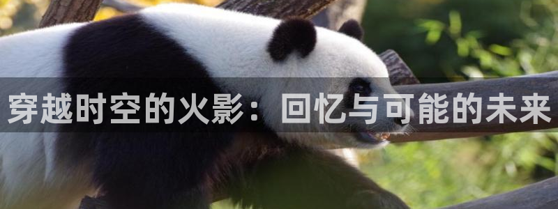 杏鑫平台注册登录入口官网