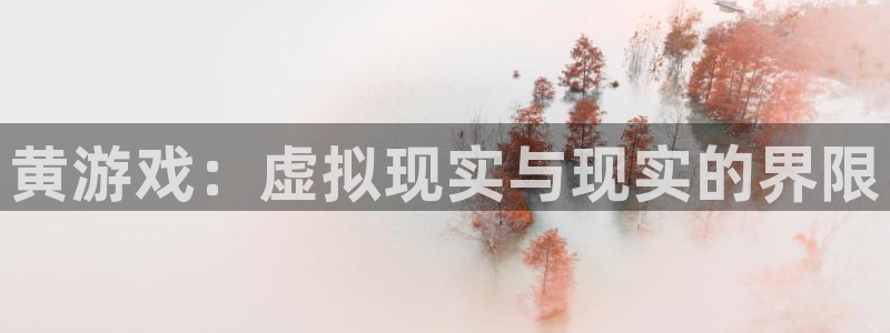 杏鑫平台总代理是谁：黄游戏：虚拟现实与现实的界限
