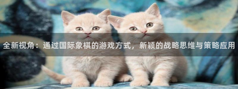杏鑫平台直属：全新视角：通过国际象棋的游戏方式，新颖的战略思