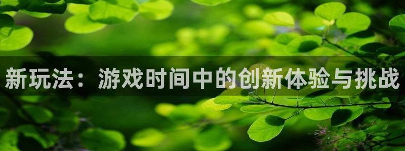 杏鑫代理注册资金多少：新玩法：游戏时间中的创新体验与挑战