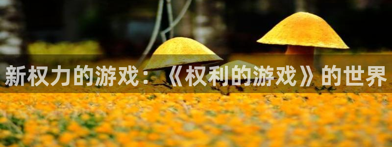 杏鑫平台总代理：新权力的游戏：《权利的游戏》的世界