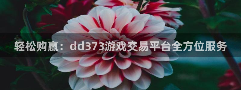 杏鑫平台直属哪个公司：轻松购赢：dd373游戏交易平台全方位