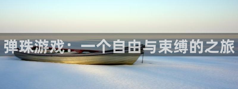 杏鑫手机客户端下载