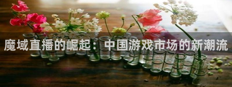飞速nba直播在线观看：魔域直播的崛起：中国游戏市场的新潮流