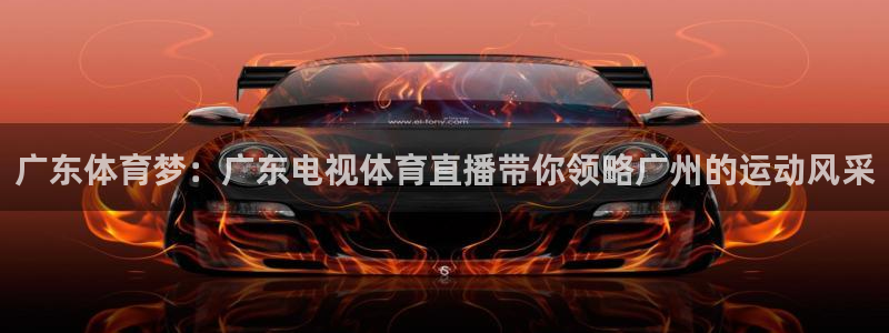 飞速直播体育：广东体育梦：广东电视体育直播带你领略广州的运动风采