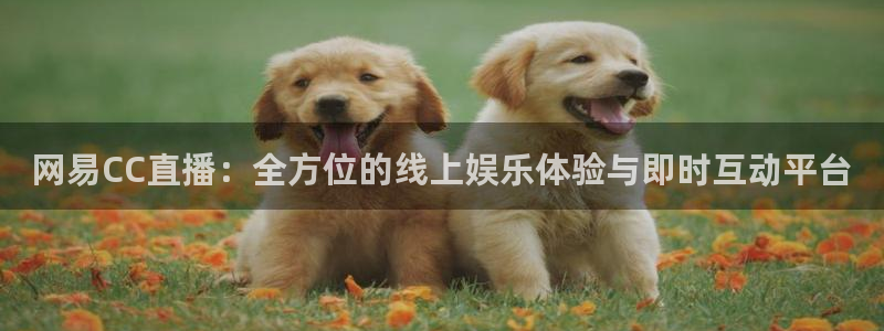 飞速直播足球直播nba直播吧：网易CC直播：全方位的线上娱乐体验与即时互动平台