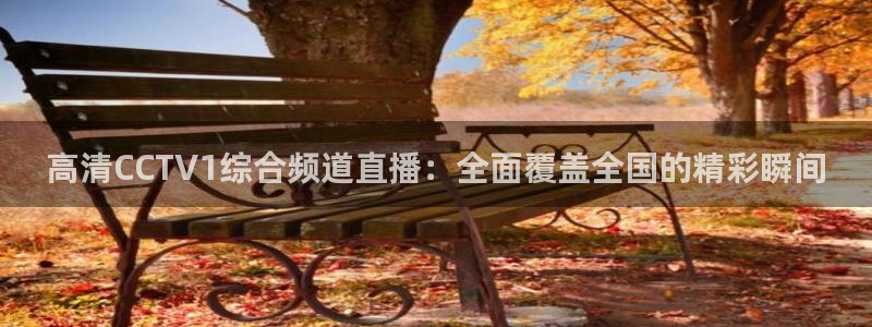 飞速看球nba直播：高清CCTV1综合频道直播：全面覆盖全国的精彩瞬间