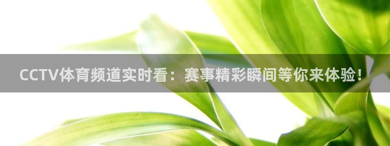 飞速体育直播在线观看：CCTV体育频道实时看：赛事精彩瞬间等你来体验！